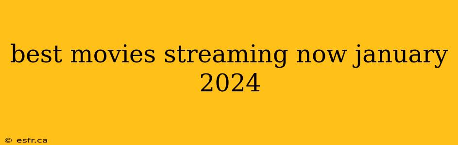 best movies streaming now january 2024