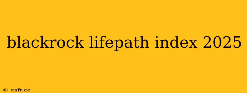 blackrock lifepath index 2025