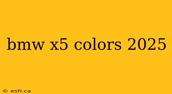 bmw x5 colors 2025