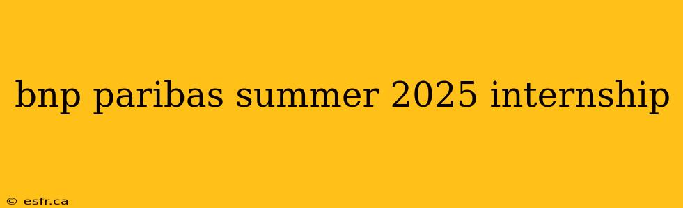 bnp paribas summer 2025 internship