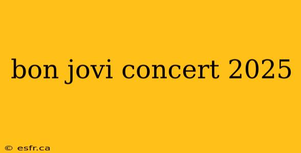 bon jovi concert 2025