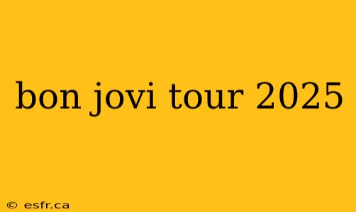 bon jovi tour 2025