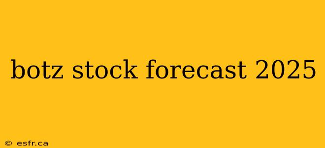 botz stock forecast 2025