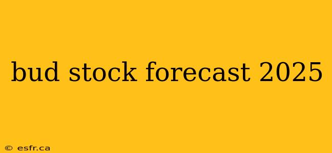 bud stock forecast 2025