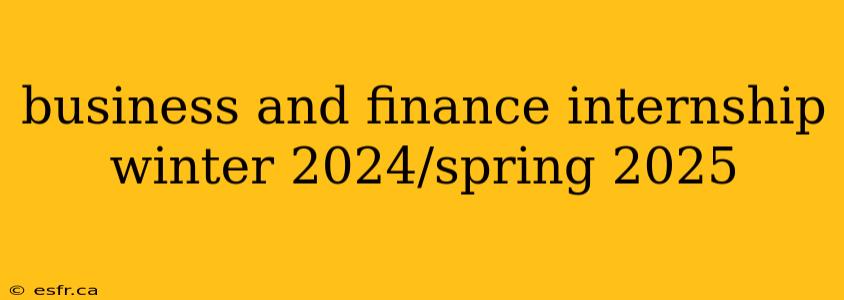 business and finance internship winter 2024/spring 2025