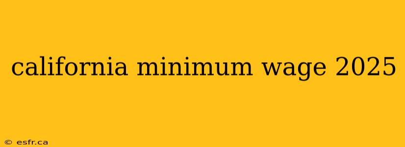 california minimum wage 2025