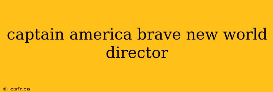 captain america brave new world director