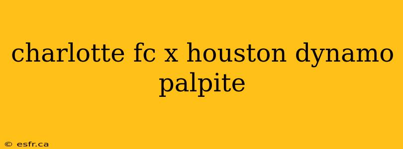 charlotte fc x houston dynamo palpite