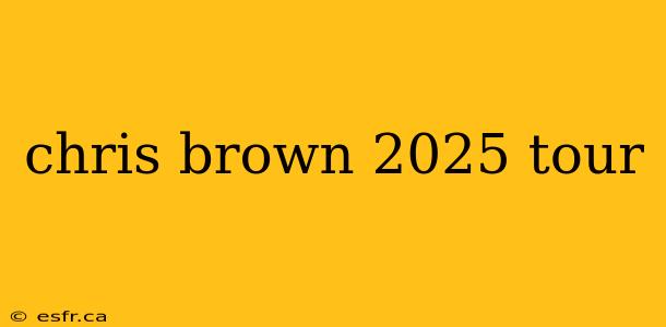 chris brown 2025 tour