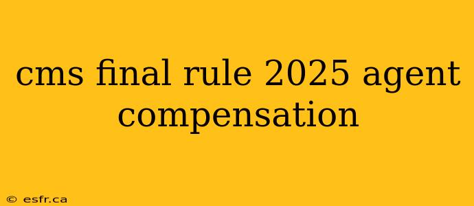 cms final rule 2025 agent compensation