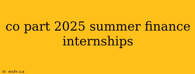 co part 2025 summer finance internships