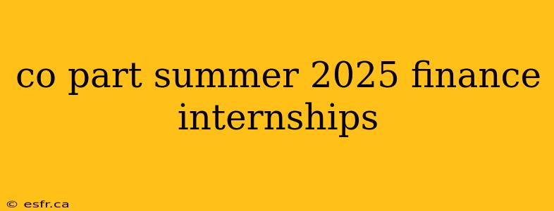 co part summer 2025 finance internships