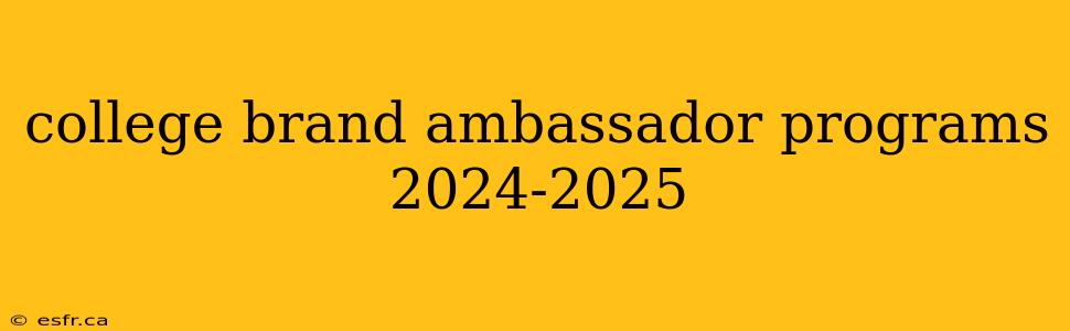 college brand ambassador programs 2024-2025