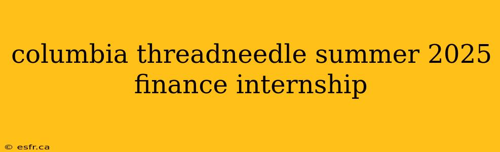 columbia threadneedle summer 2025 finance internship