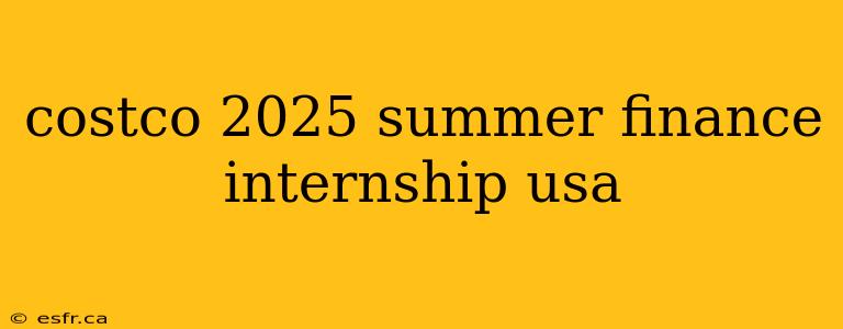 costco 2025 summer finance internship usa