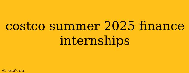 costco summer 2025 finance internships