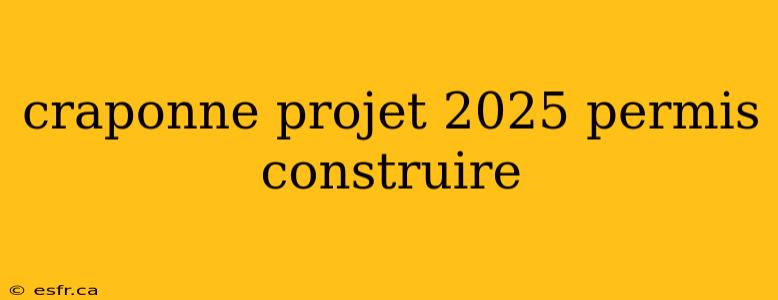 craponne projet 2025 permis construire