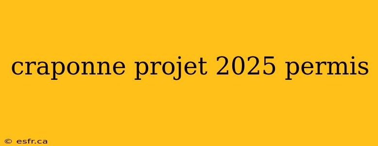 craponne projet 2025 permis