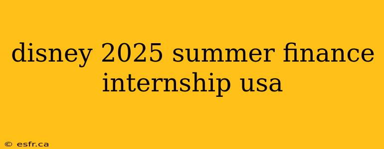 disney 2025 summer finance internship usa