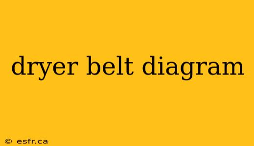 dryer belt diagram