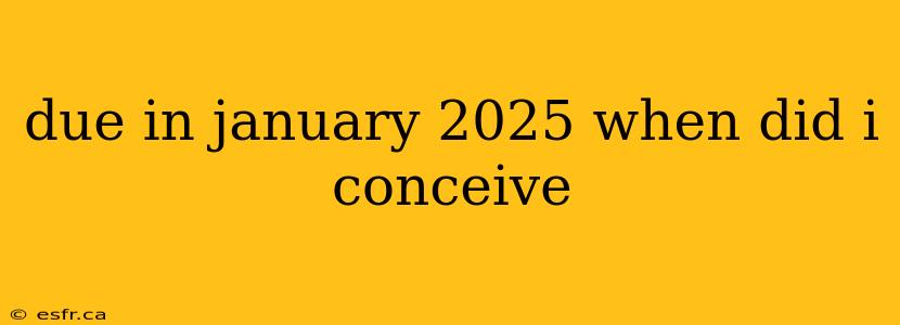 due in january 2025 when did i conceive