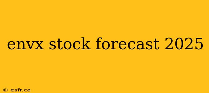 envx stock forecast 2025