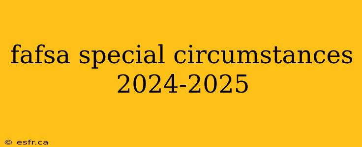 fafsa special circumstances 2024-2025