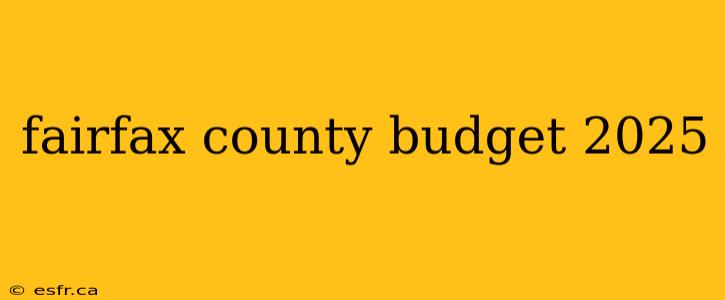 fairfax county budget 2025