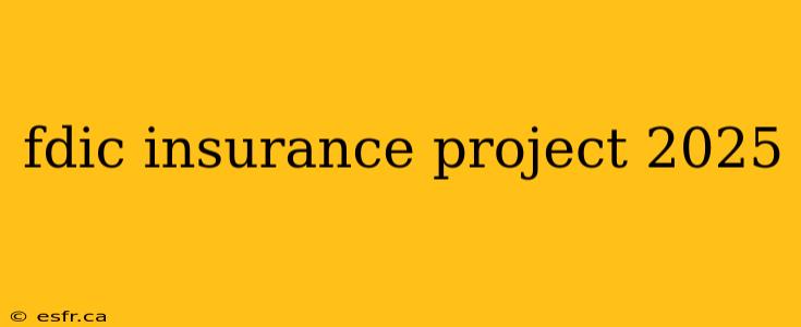 fdic insurance project 2025