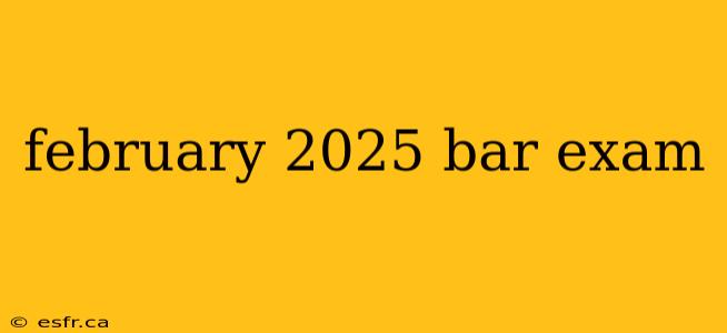 february 2025 bar exam