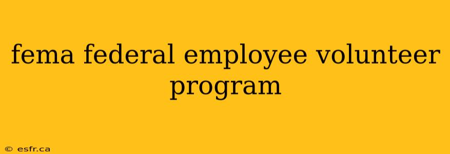 fema federal employee volunteer program