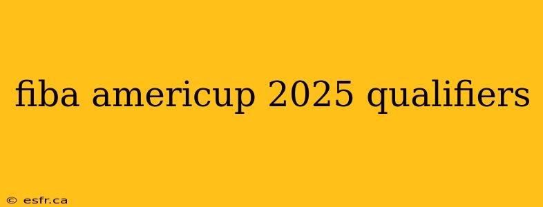 fiba americup 2025 qualifiers