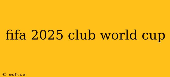 fifa 2025 club world cup