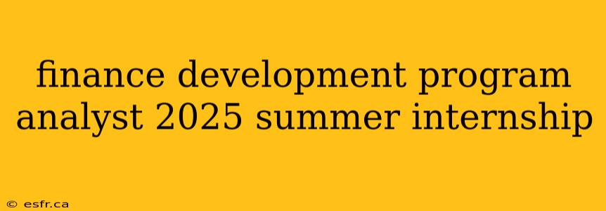 finance development program analyst 2025 summer internship