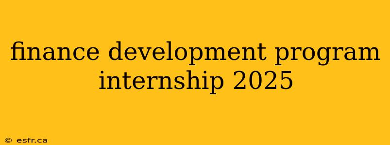 finance development program internship 2025