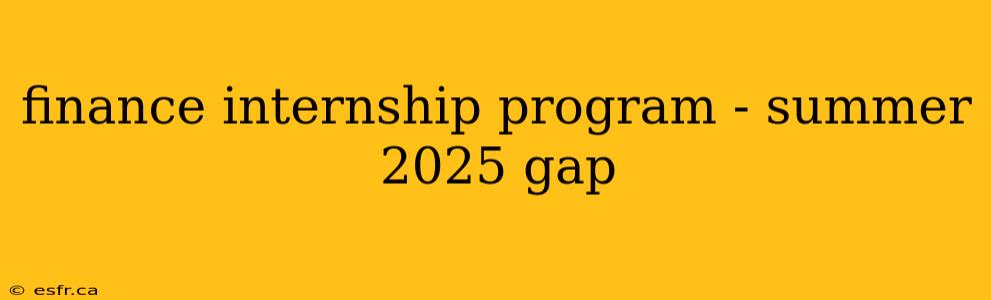 finance internship program - summer 2025 gap