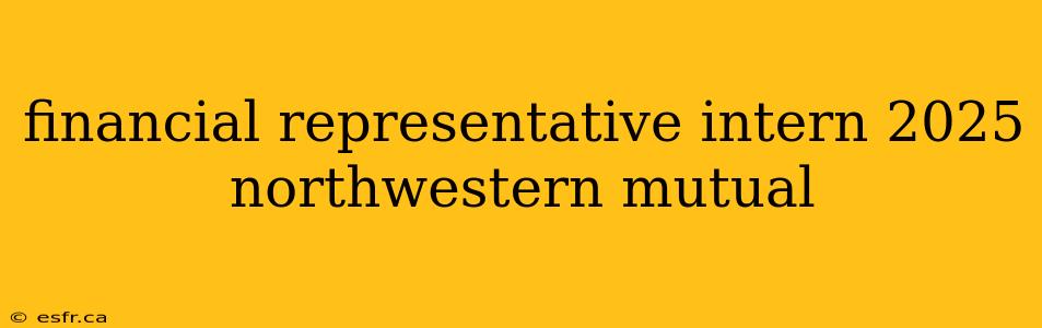 financial representative intern 2025 northwestern mutual