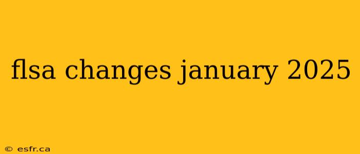 flsa changes january 2025