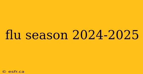 flu season 2024-2025