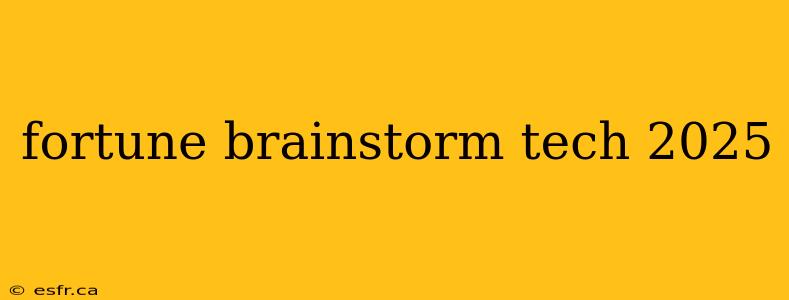 fortune brainstorm tech 2025