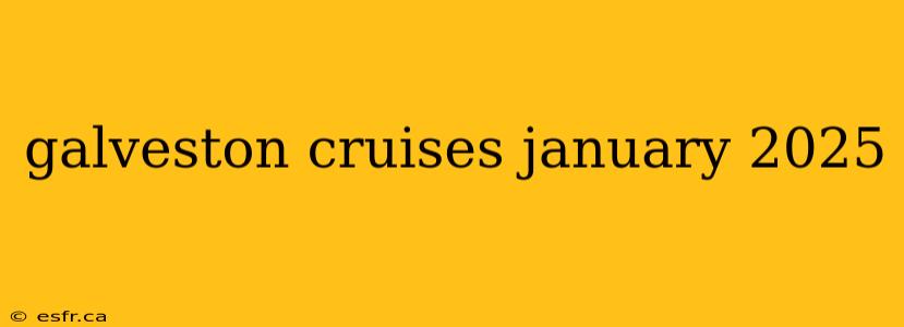 galveston cruises january 2025