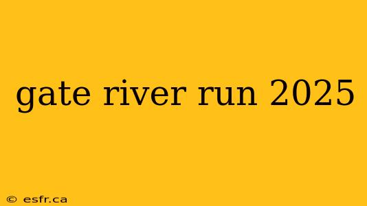 gate river run 2025