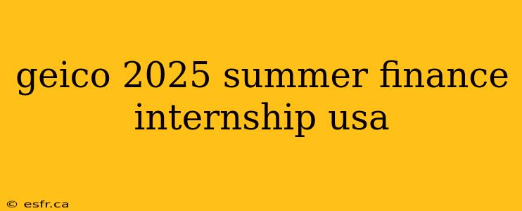 geico 2025 summer finance internship usa