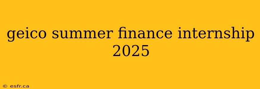 geico summer finance internship 2025