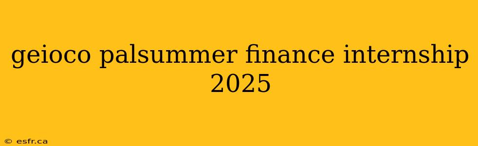 geioco palsummer finance internship 2025