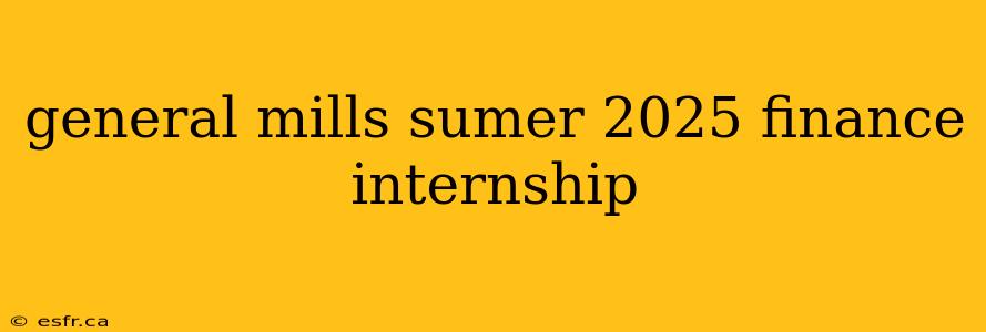 general mills sumer 2025 finance internship