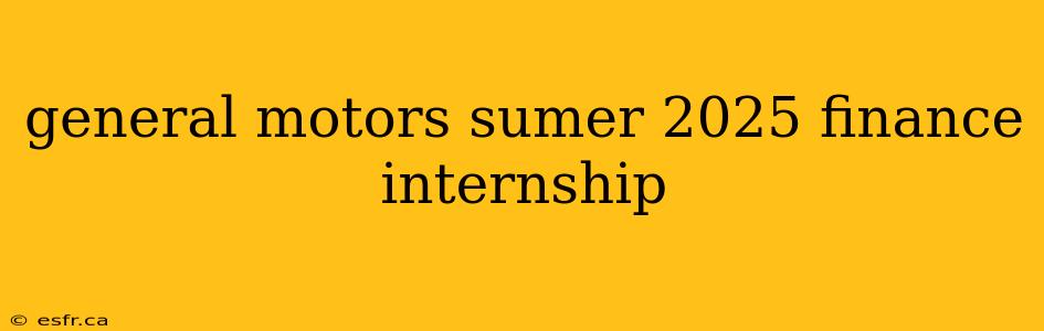 general motors sumer 2025 finance internship