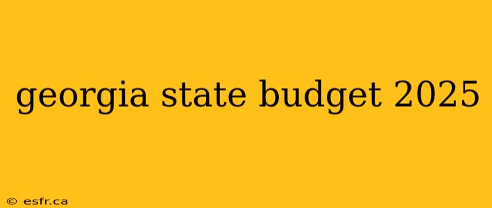 georgia state budget 2025