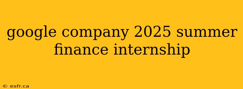 google company 2025 summer finance internship