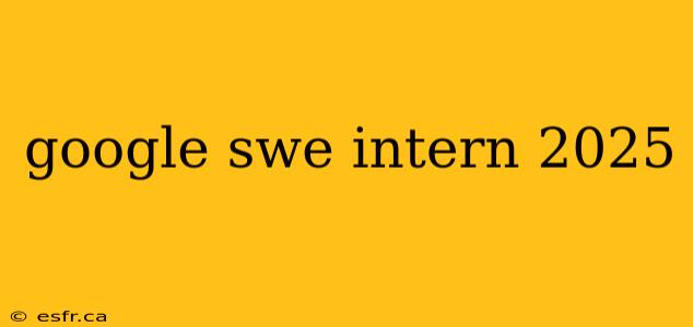 google swe intern 2025